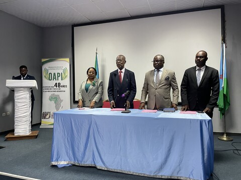 Seminário de Conscientização sobre Propriedade Intelectual como Motor do Desenvolvimento Económico