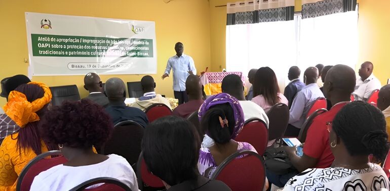 Atividades da Direção-geral da Propriedade Industrial Guiné-Bissau