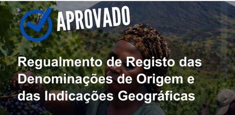 Aprovação do Regulamento de registo das Denominações de Origem e Indicações Geográficas