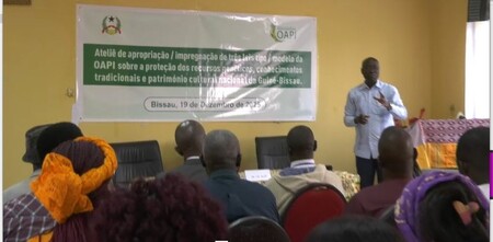 Ateliê de apropriação ou impregnação de três leis modelo da Organização Africana de Propriedade Intelectual 