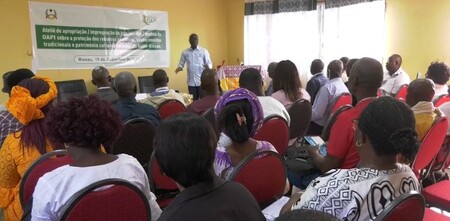 Ateliê de apropriação ou impregnação de três leis modelo da Organização Africana de Propriedade Intelectual 